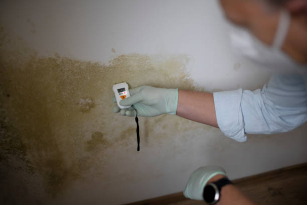 Middlebush, NJ Mold Removal Company