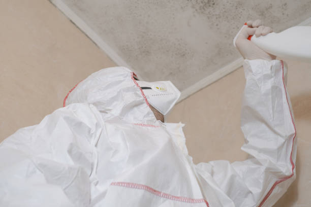 Best Mold Cleaning Services  in Middlebush, NJ