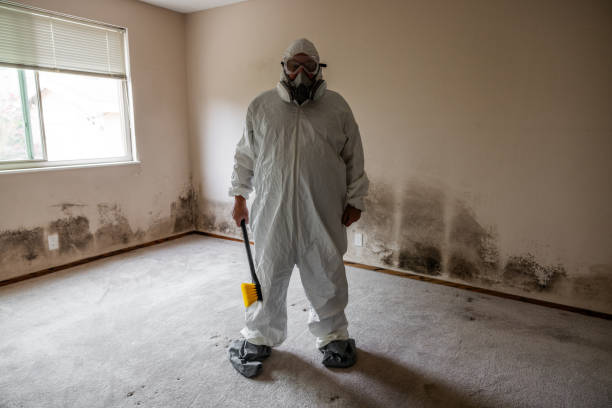 Trusted Middlebush, NJ Mold Removal Experts